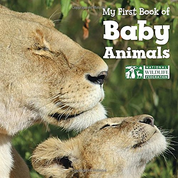 Sách My First Book Of Baby Animals