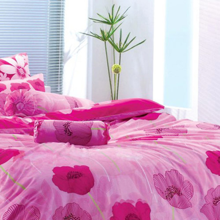 Chăn 4 Mùa Toto 251 (1m8)