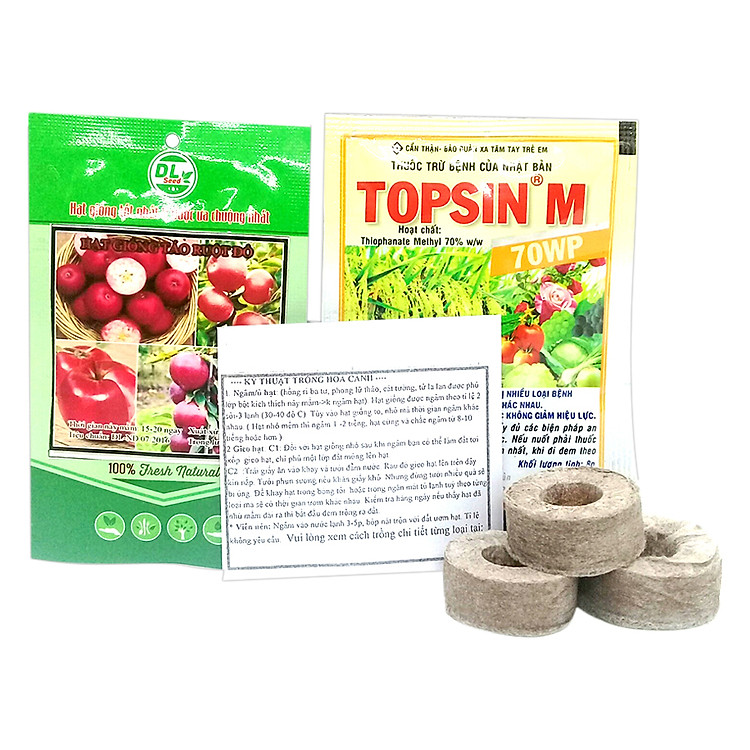 Bộ Hạt Giống Táo Vỏ Đỏ Ruột Đỏ Hoa Đẹp Dễ Trồng