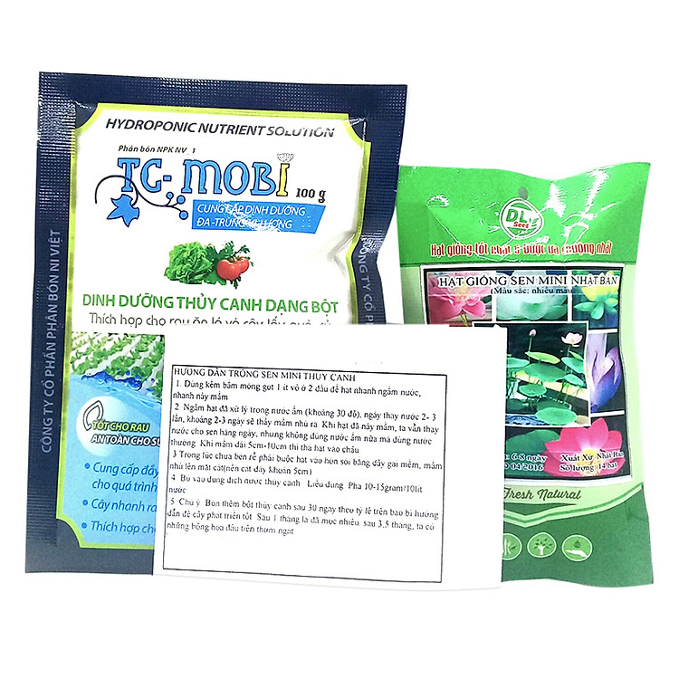 Bộ Hạt Giống Sen Mini Nhật Bản Thủy Canh Hoa Đẹp Dễ Trồng