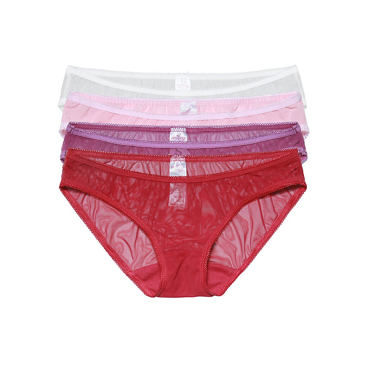 Combo 4 Quần Lót Nữ Miley Lingerie BTS0100