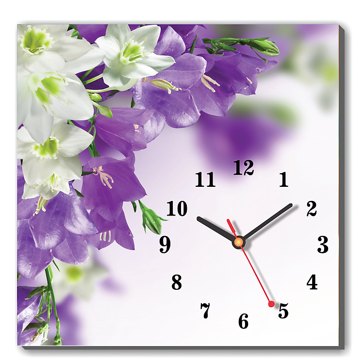 Tranh Đồng Hồ Dyvina 1T3030-23 - Hoa Giấy