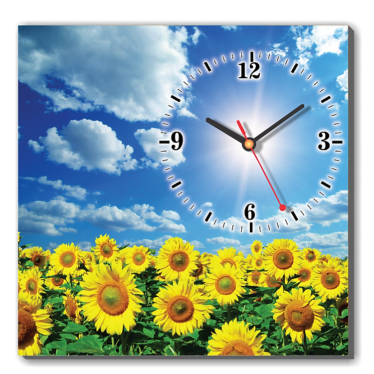 Tranh Đồng Hồ Dyvina 1T3030-42 - Hoa Hướng Dương