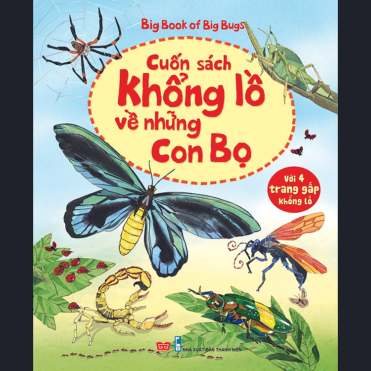 Big Book Of Big Bugs – Cuốn Sách Khổng Lồ Về Những Con Bọ