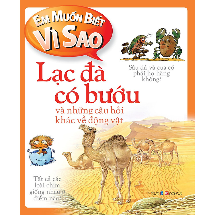 Sách Em Muốn Biết Vì Sao: Lạc Đà Có Bướu