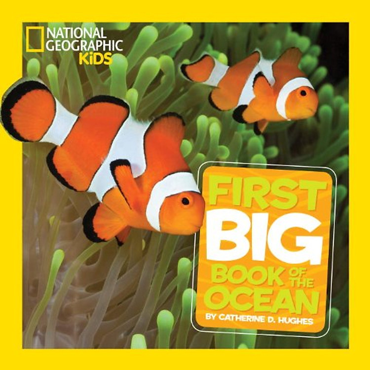 Sách National Geographic Kids: First Big Book Of Ocean