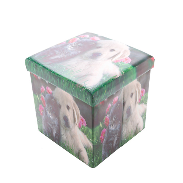 Ghế Đôn Xếp Đa Năng A15-366