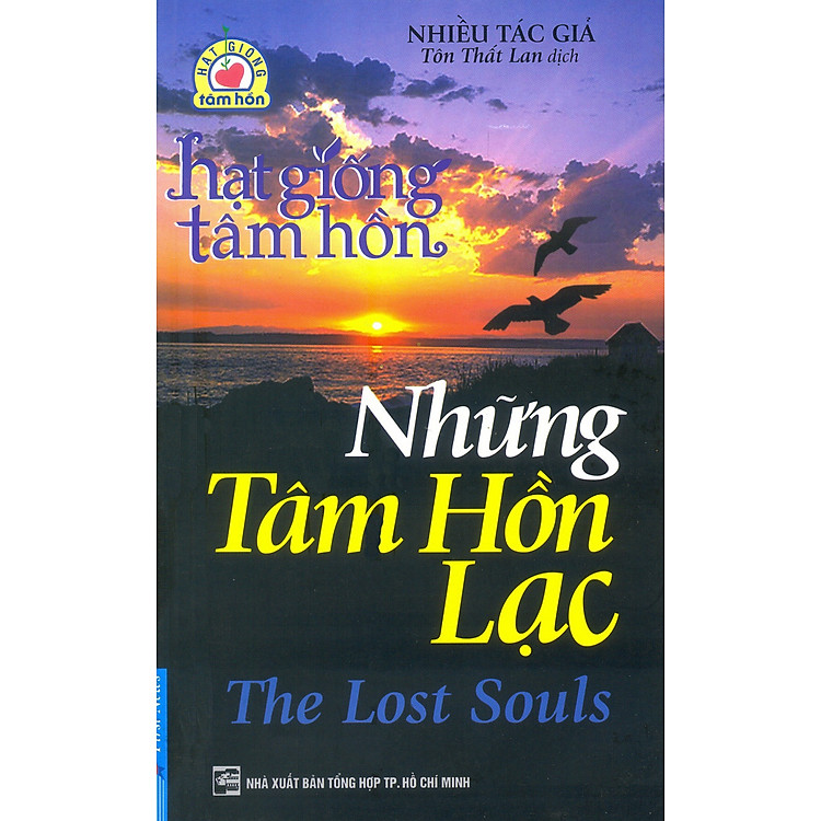 Sách Hạt Giống Tâm Hồn - Những Tâm Hồn Lạc (Tái Bản)