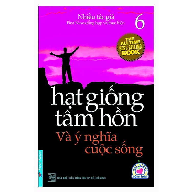 Sách Hạt Giống Tâm Hồn 6 (Tái Bản 2012)