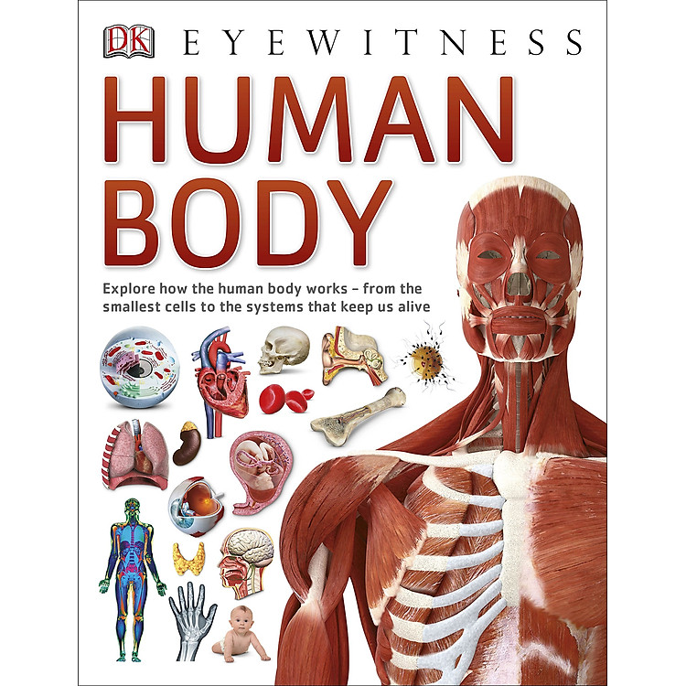 Sách Human Body