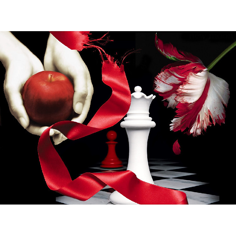 Hừng Đông - Breaking Dawn (Twilight Series - Tái Bản 2011) - Ảnh 3