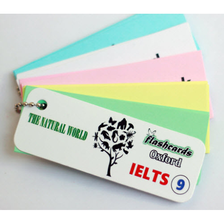 Flashcard The Natural World (I9)