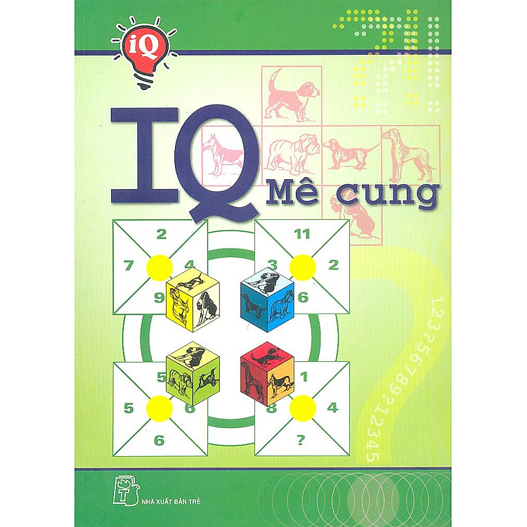Sách IQ Mê Cung