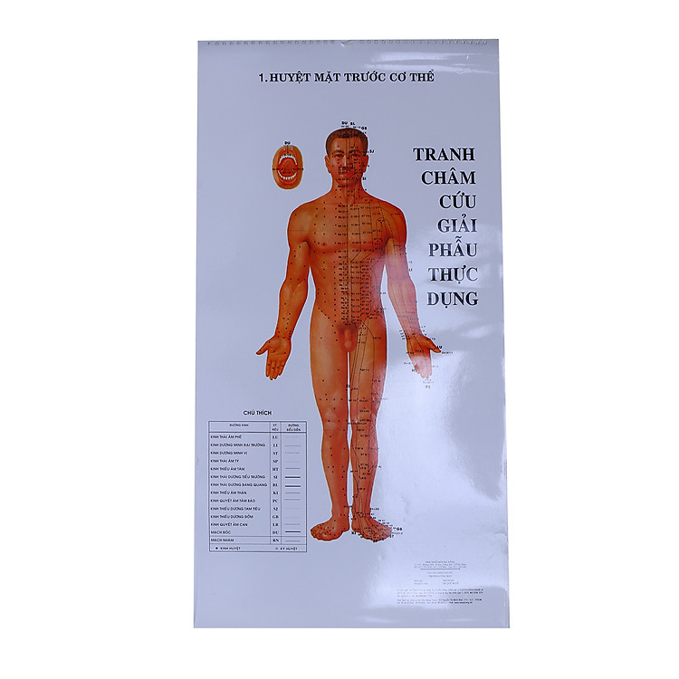 Sách Tranh Châm Cứu Giải Phẫu Thực Dụng