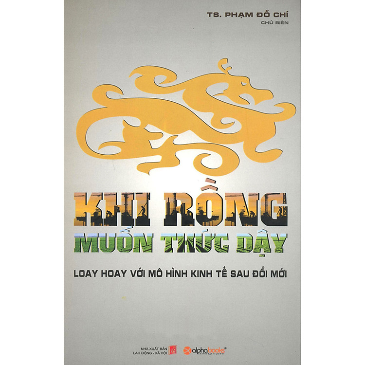 Sách Khi Rồng Muốn Thức Dậy
