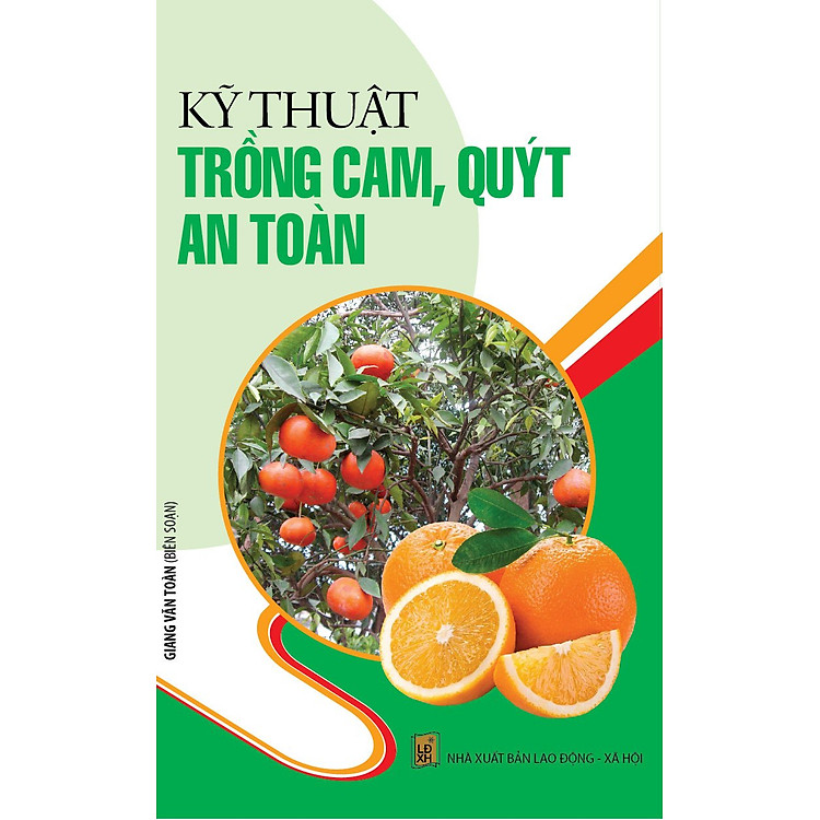 Sách Kỹ Thuật Trồng Cam, Quýt An Toàn