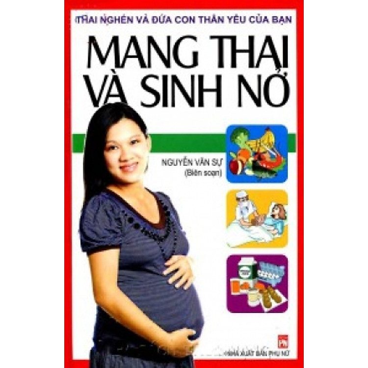 Sách Mang Thai Và Sinh Nở (Tái Bản 2013)