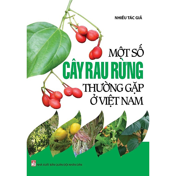 Sách Một Số Cây Rau Rừng Thường Gặp Ở Việt Nam