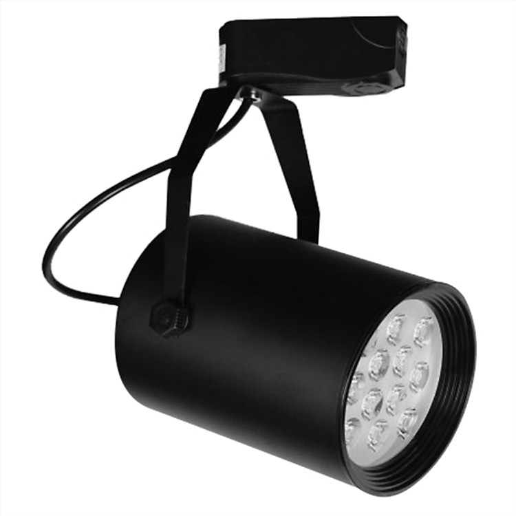 Đèn Pha Ray Trang Trí Bóng LED Ánh Sáng Vàng Netviet NP 033 12W (Đen)