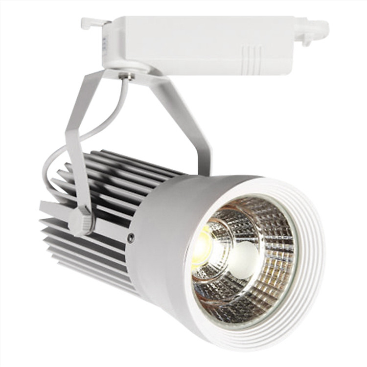 Đèn Pha Ray Trang Trí LED Cob Ánh Sáng Vàng NP 037 20W (Trắng)