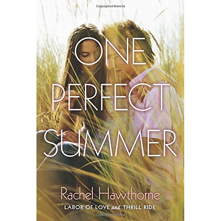 Sách One Perfect Summer