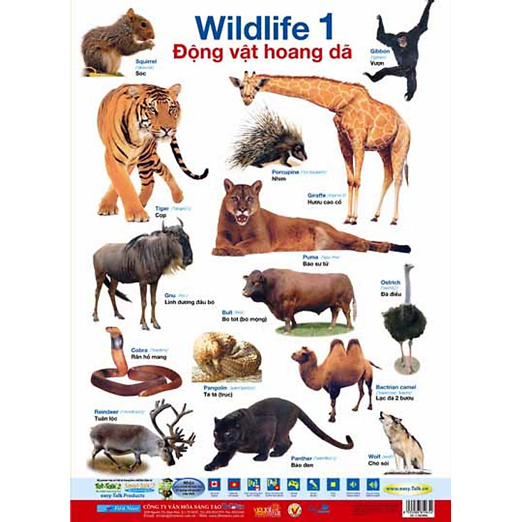 Sách Poster 2 Mặt - Động Vật Hoang Dã 1, 2