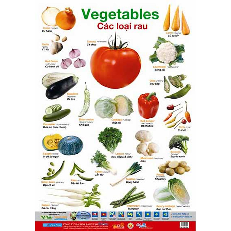 Sách Poster Lớn - Các Loại Rau