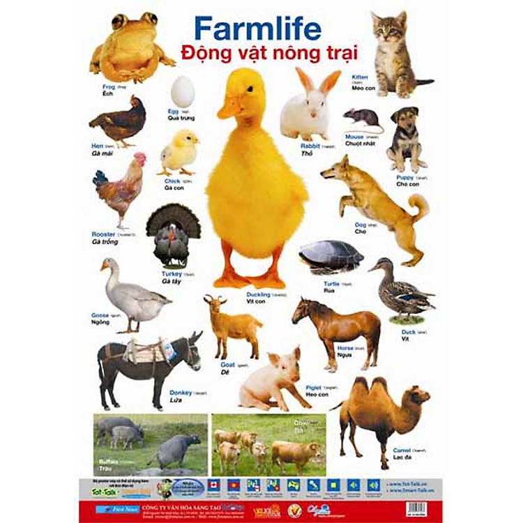 Sách Poster Lớn - Động Vật Nông Trại 1