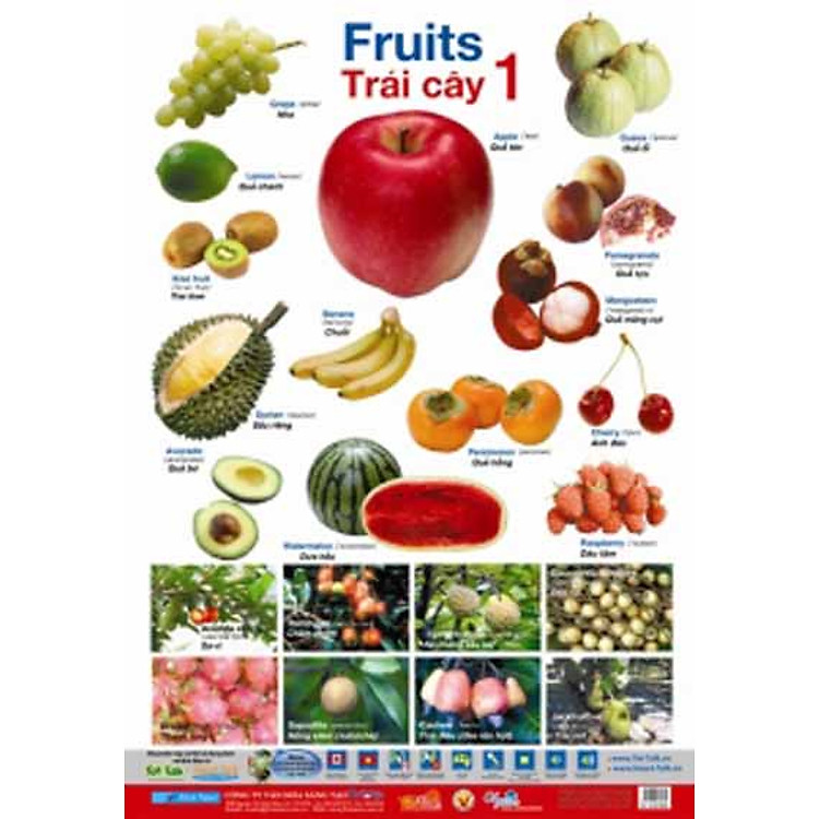 Sách Poster Lớn - Trái Cây 1