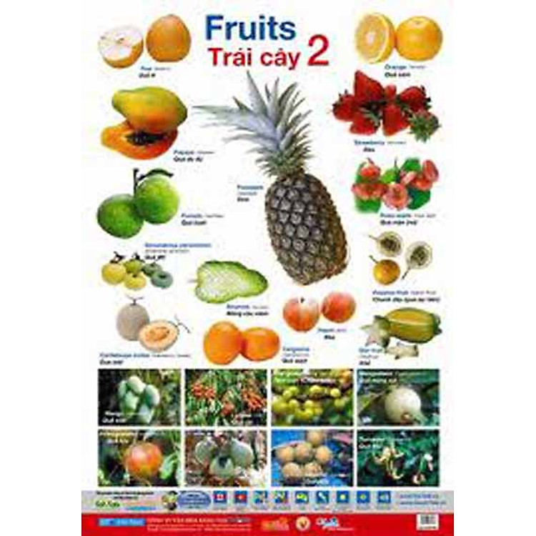 Sách Poster Lớn - Trái Cây 2