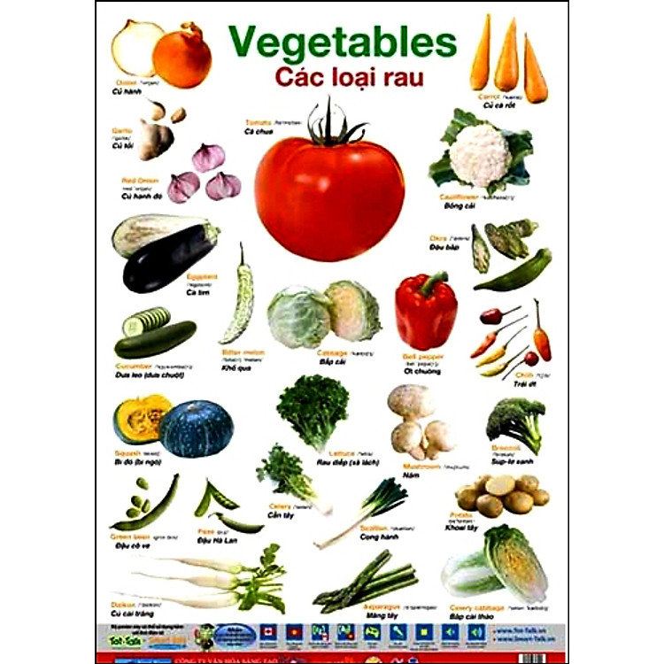 Sách Poster 2 Mặt - Thức Ăn Và Các Loại Rau
