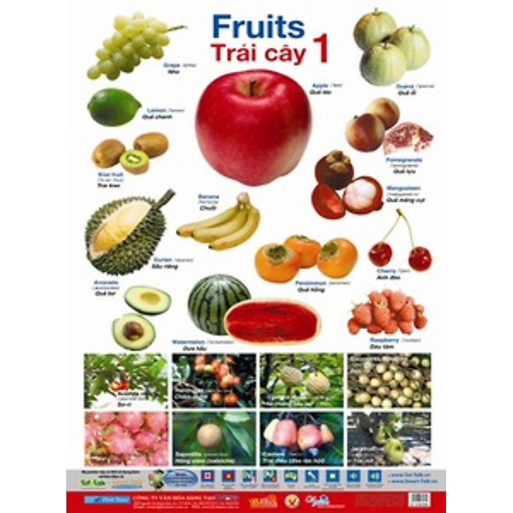 Sách Poster 2 Mặt - Trái Cây 1,2 (Bản Mới 2013)