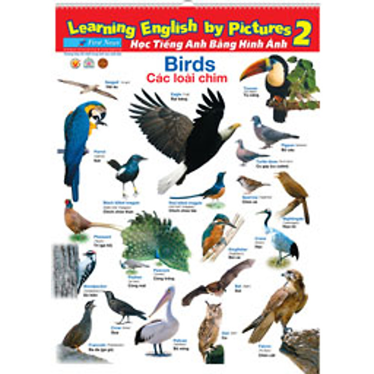 Bộ Poster 8 Tờ – Tập 2