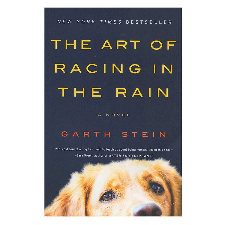 Sách The Art Of Racing In The Rain