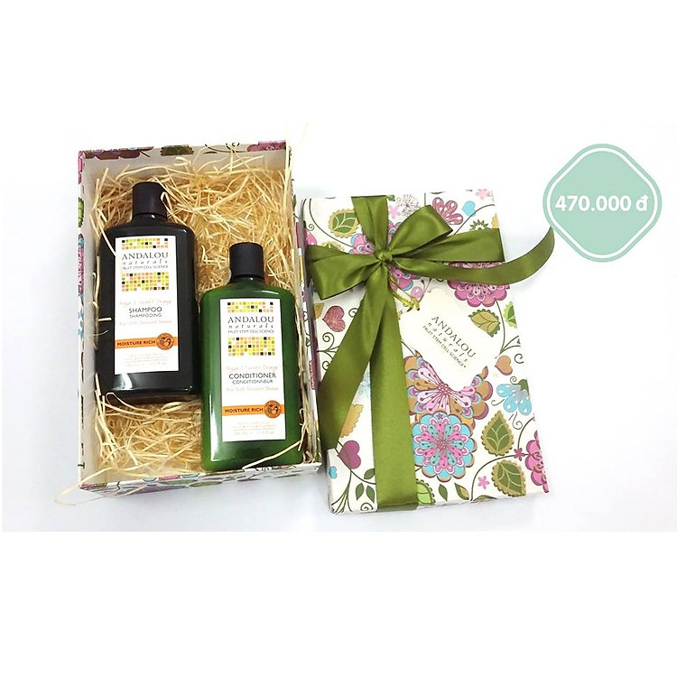 Bộ Quà Tặng Dầu Gội & Dầu Xả Dưỡng Ẩm Andalou Naturals Argan & Sweet Orange Moisture Rich