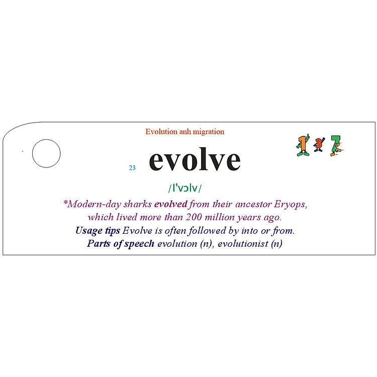 Flashcard Nature Best Quality (T1)