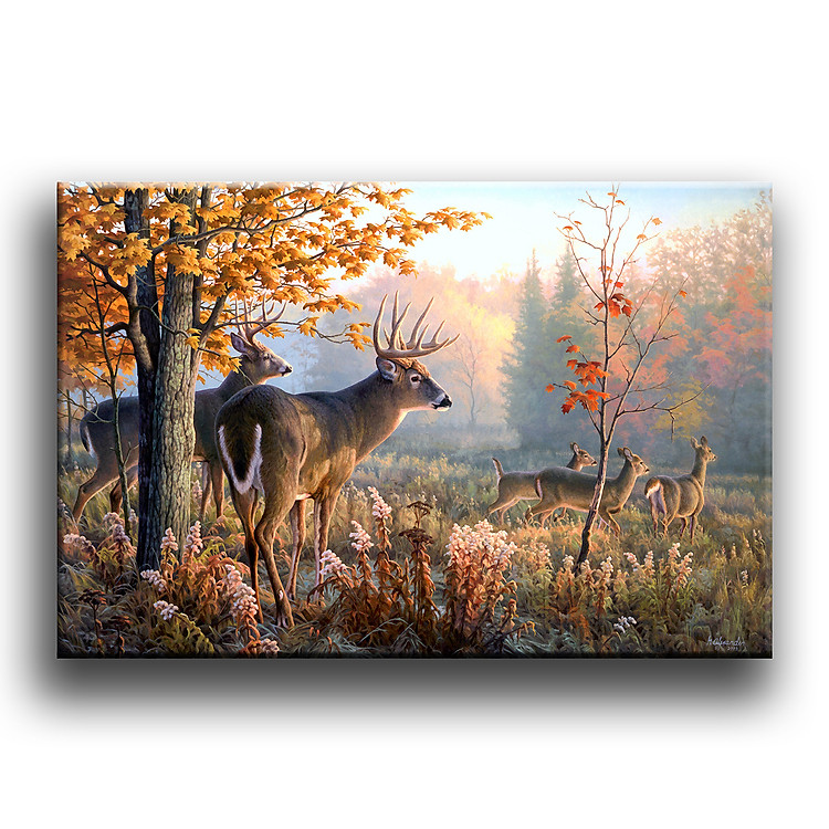 Tranh Canvas Vicdecor TCV0009 Hươu Rừng