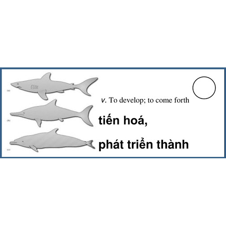 Flashcard 400 Từ Vựng Quan Trọng Luyện Thi TOEFL (F04)