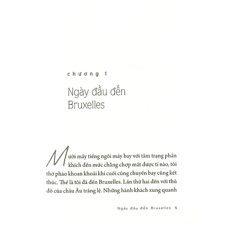 Cung Đường Vàng Nắng - Ảnh 3