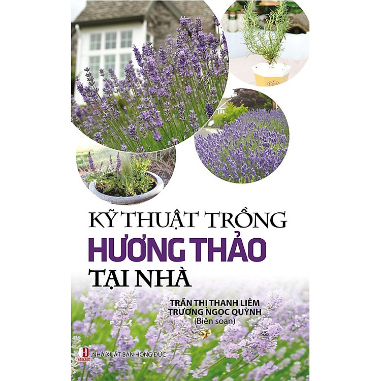 Sách Kỹ Thuật Trồng Hương Thảo Tại Nhà