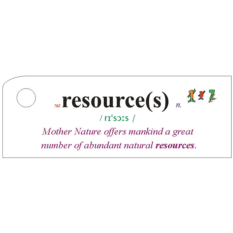 Flashcard The Energy Crisis Best Quality (U16)