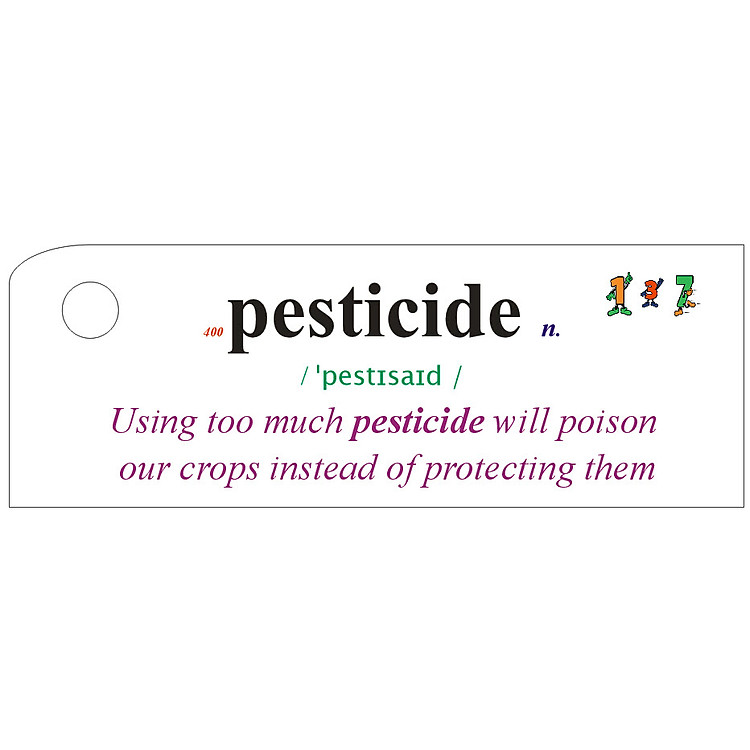 Flashcard The Natural World Best Quality (U9)