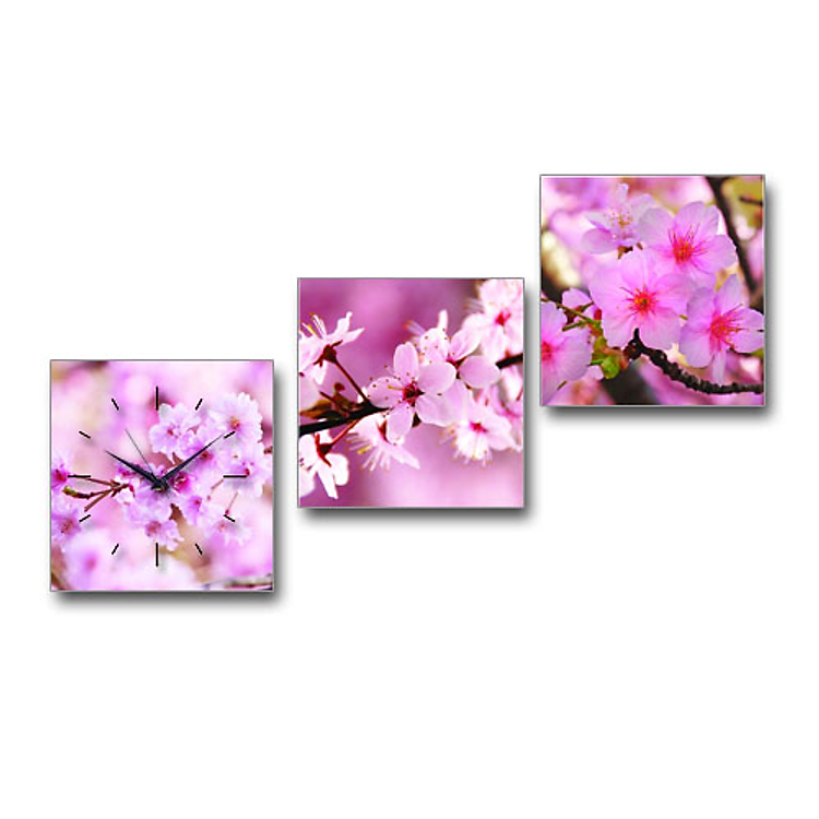 Tranh Đồng Hồ Suemall HL1238 - Blossom