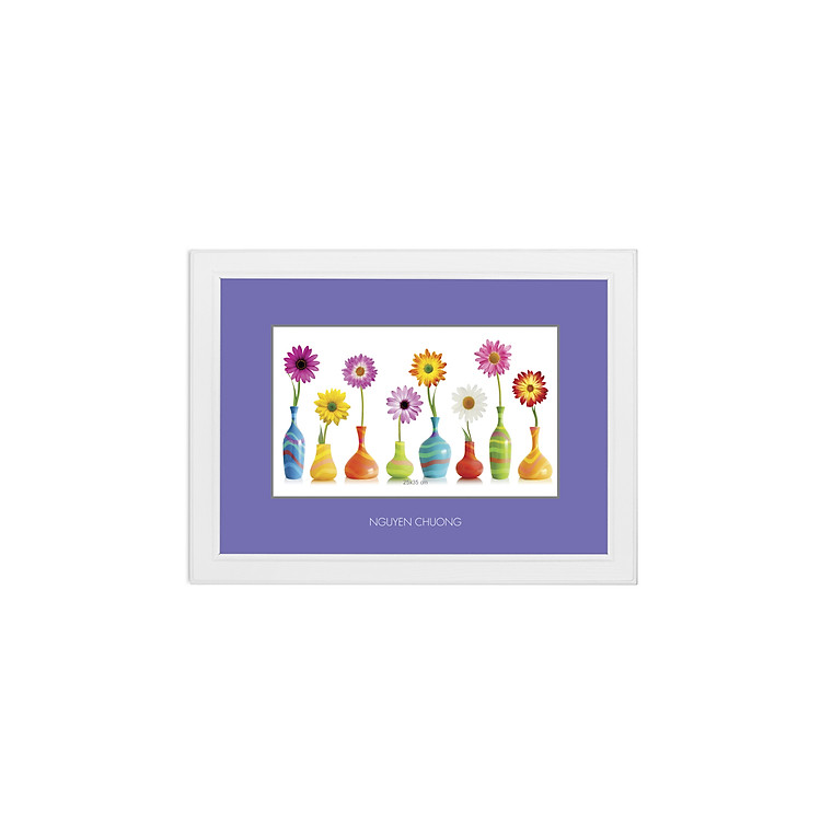 Khung Cao Cấp C2 (Màu Trắng) 25 x 35 cm