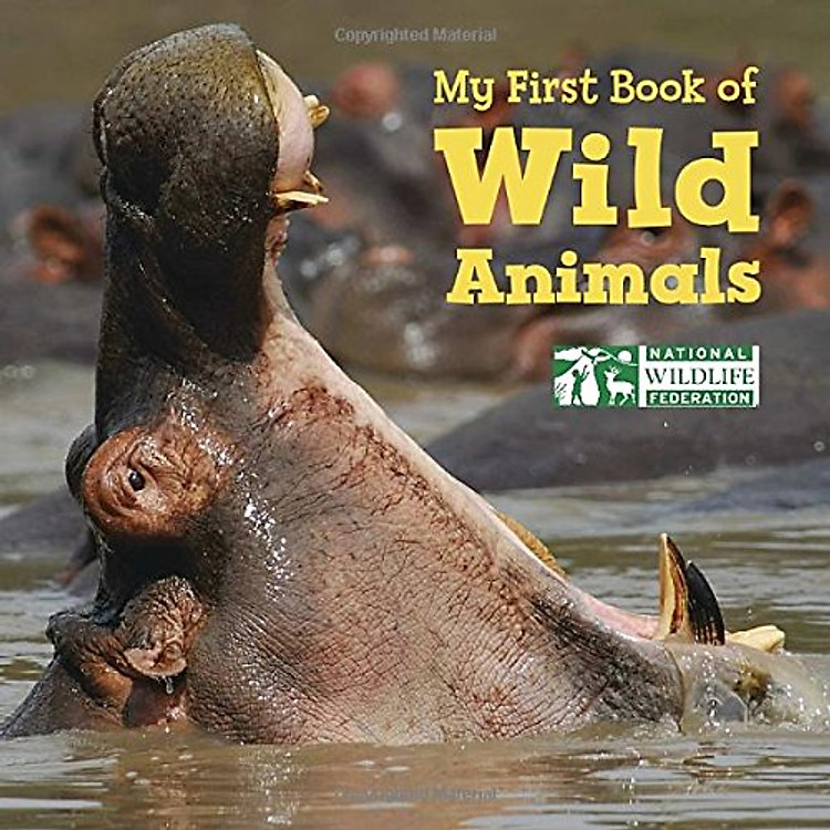 Sách My First Book Of Wild Animals