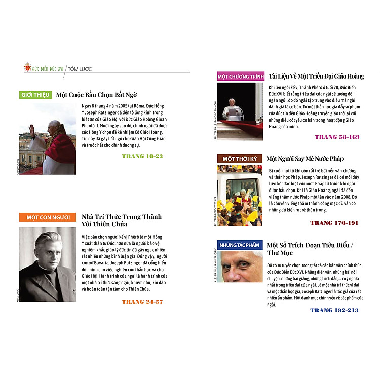 ĐỨC GIÁO HOÀNG BIỂN ĐỨC XVI - RẤT KHIÊM NHU RẤT VĨ ĐẠI - Ảnh 5