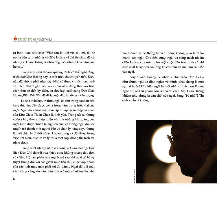 ĐỨC GIÁO HOÀNG BIỂN ĐỨC XVI - RẤT KHIÊM NHU RẤT VĨ ĐẠI - Ảnh 4