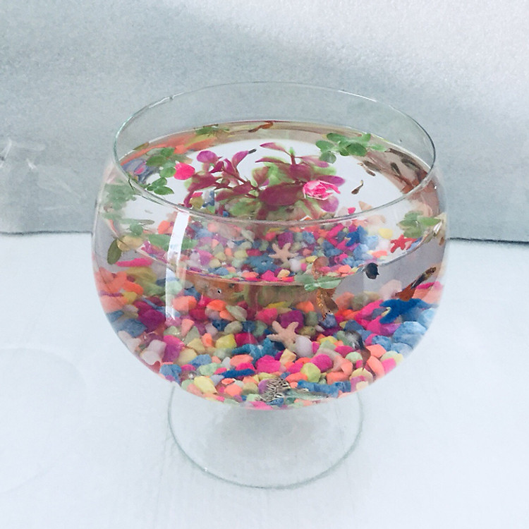 Bể cá mini để bàn LC2 - Tặng phụ kiện