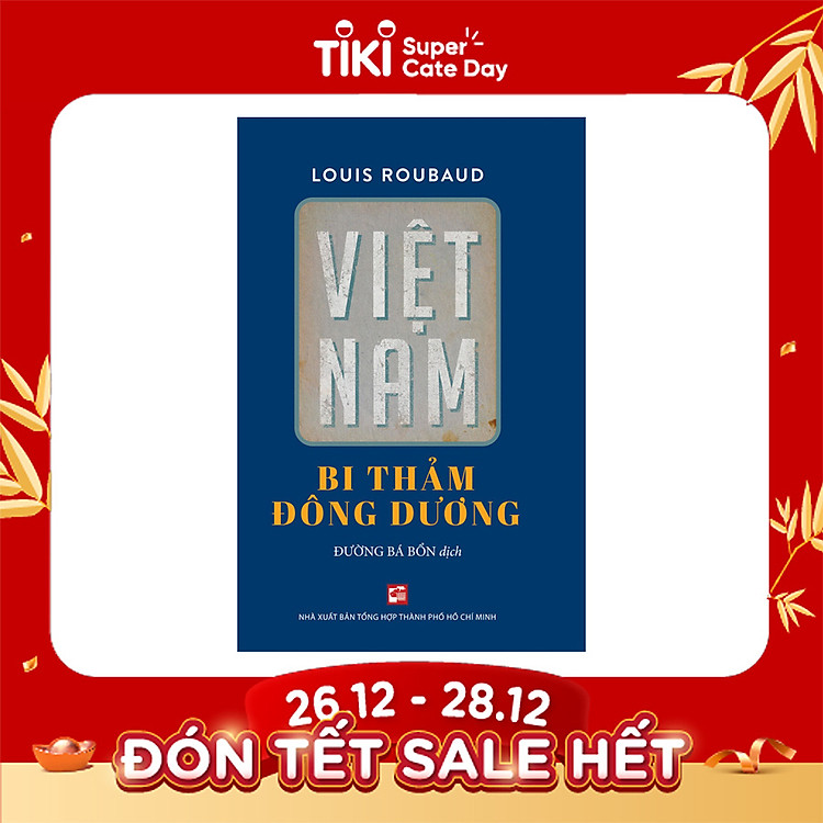 Việt Nam Bi Thảm Đông Dương - Ảnh 3