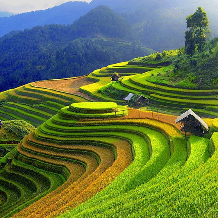 Combo Sapa 2N1Đ; Khách Sạn 3*, Ăn Sáng + Vé Xe Khứ Hồi HN - Sapa, Áp Dụng Cho 01 Người